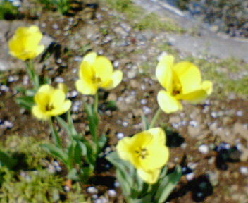 200504171340000 (2).jpg